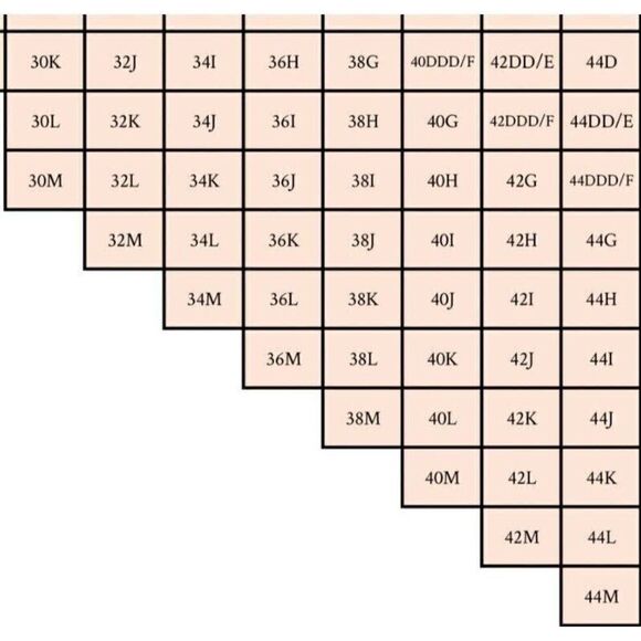 Birdsong Plus Size 20W Black Eco Onyx Sharkbite Underwire Tankini Swim Top Plus - Picture 13 of 13